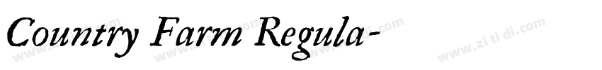 Country Farm Regula字体转换